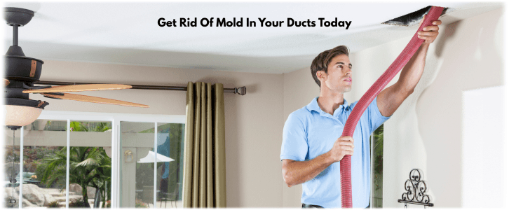 Air Duct Mold Removal in Queens