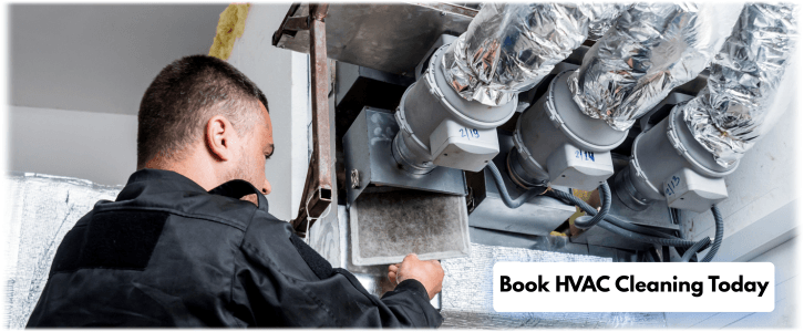 HVAC Mold Removal Queens